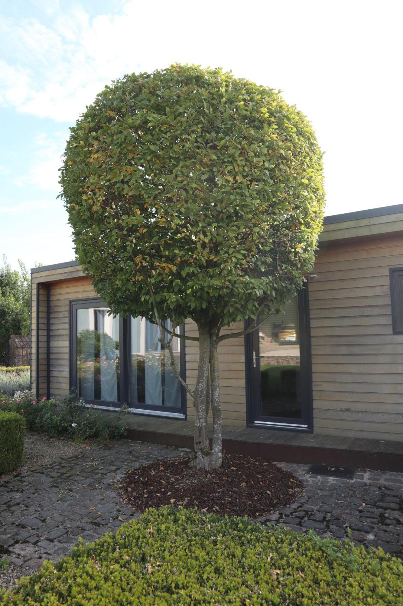 Tinyhouse Apartment Perl Exterior photo